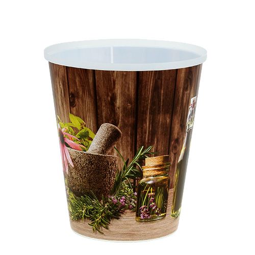 Plastic pot with herbs Ø12cm H13,5cm, 1pce