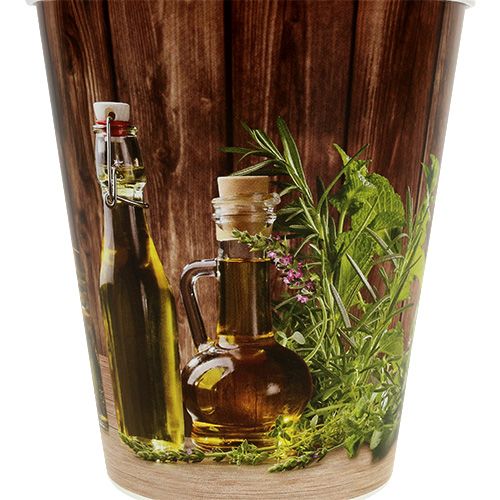 Floristik24 Plastic pot with herbs Ø12cm H13,5cm, 1pce
