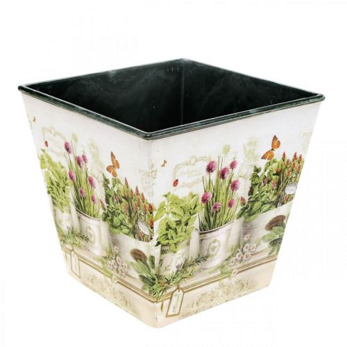 Floristik24 Herb pot, planter with motif, planter H13cm W13.5cm