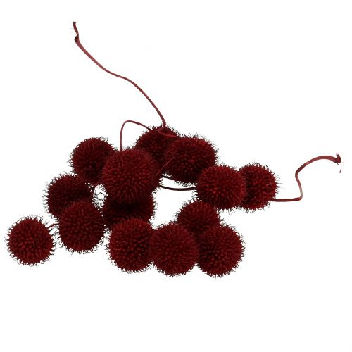 Floristik24 Plane fruits dried dark red 250g