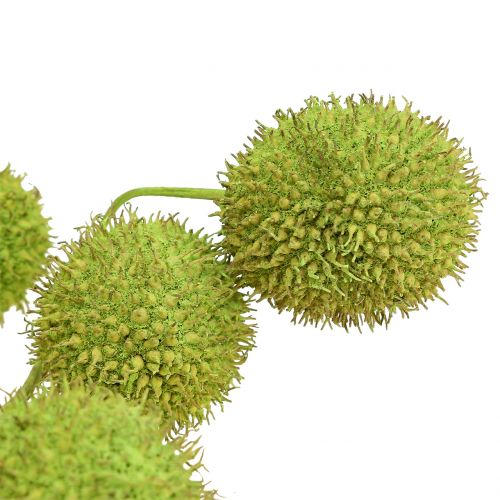 Floristik24 Plane fruit green 200g