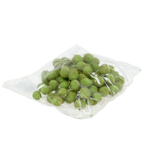 Floristik24 Plane fruit green 200g