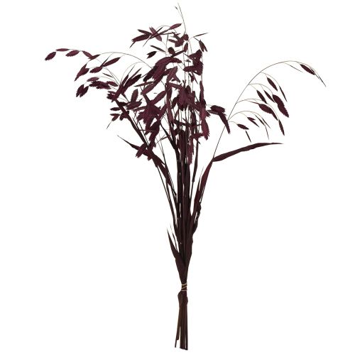 Product Flat-eared grass dry grass Chasmantium purple 70cm 10 pcs