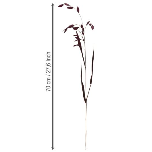 Product Flat-eared grass dry grass Chasmantium purple 70cm 10 pcs