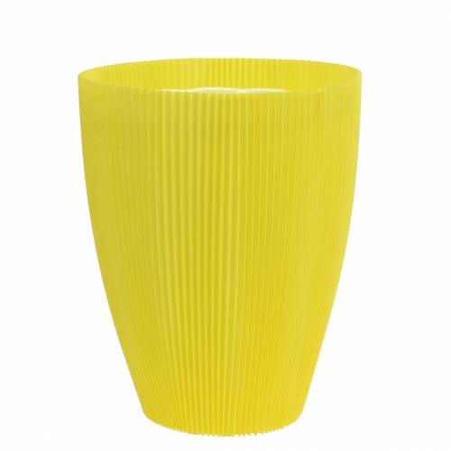 Floristik24 Pleated cuffs yellow 14.5cm (100pcs.)