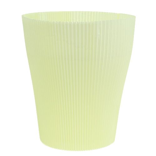 Floristik24 Pleated Cuffs Light Yellow 18,5cm 100pcs.