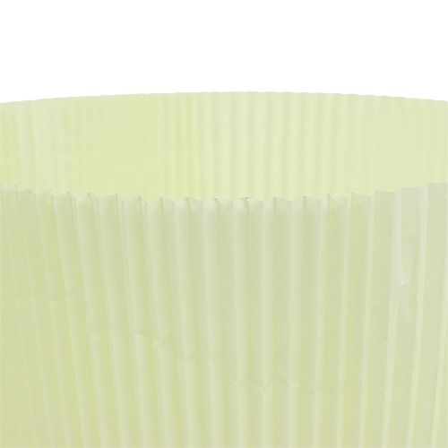 Floristik24 Pleated Cuffs Light Yellow 18,5cm 100pcs.