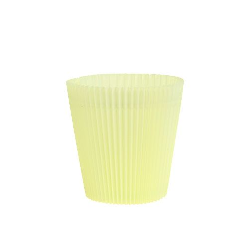 Floristik24 Pleated cuffs light yellow 8.5cm 100p.