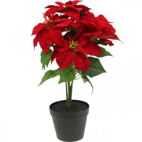 Artificial Christmas Star Red Artificial flowers in a pot H53cm