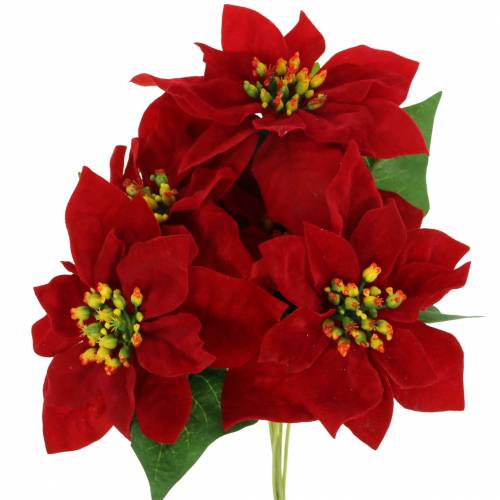 Floristik24 Poinsettia bouquet red velvet 35cm