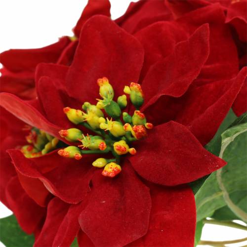 Product Poinsettia bouquet red velvet 35cm