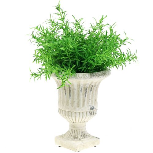 Floristik24 Plant cup antique cream Ø14cm H17cm