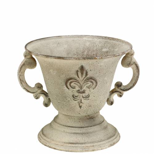 Floristik24 Trophy Bowl Vintage Cream Ø15cm H13.5cm