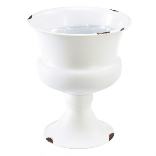 Floristik24 Cup Vase Decoration Cup White Rust Ø13.5cm H15cm Shabby Chic