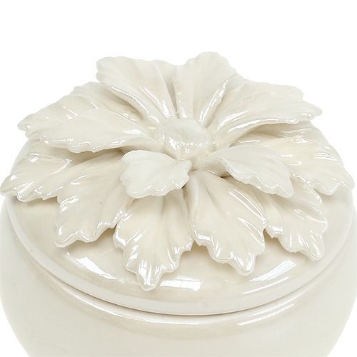 Floristik24 Porcelain box cream Ø7,5cm H6cm