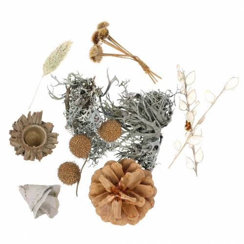 Floristik24 Herbstdeko Mix as a handicraft set Dried Bleached 150g