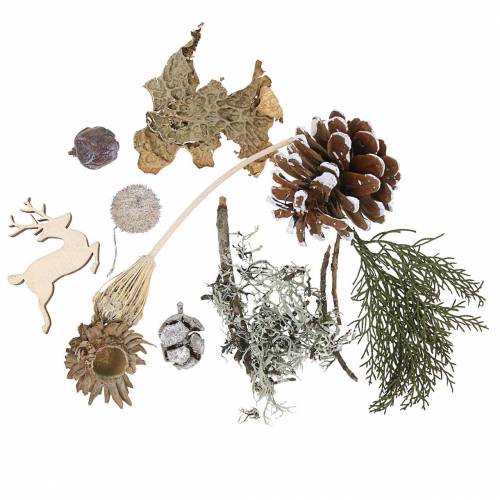 Floristik24 Dry floral handicraft set Advent cones and moss white washed 150g