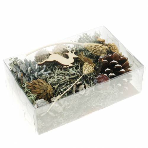 Floristik24 Dry floral handicraft set Advent cones and moss white washed 150g