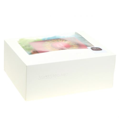 Floristik24 Bastelset Lehner wool spring colorful