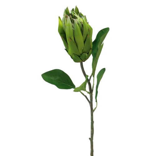 Product Protea Green Red Artificial Flower Artificial Branch L65cm Ø5.5cm