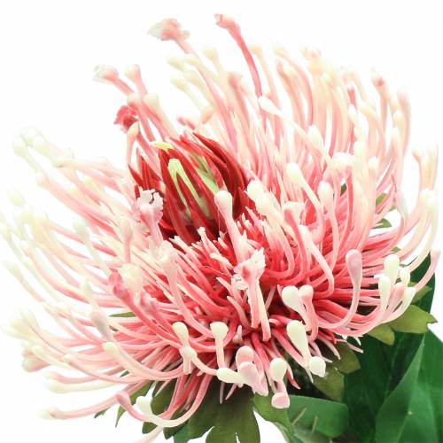 Product Protea Artificial Pink 73cm