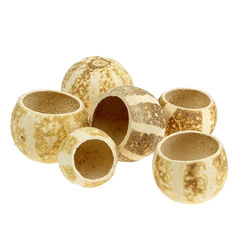 Floristik24 Pumkin Cup bleached 20 pcs