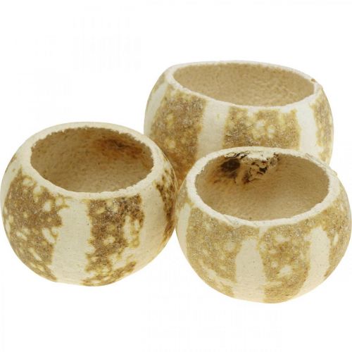 Product Pumpkin Decoration Bell Cup Pumpkin Cup bleached 50 pcs