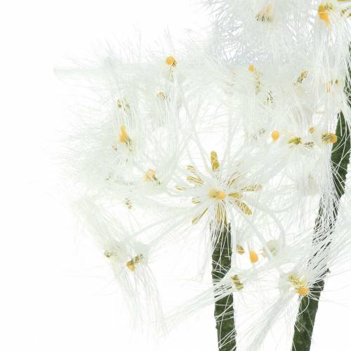 Floristik24 Artificial Meadow Flower Meadow Salsify White 57cm