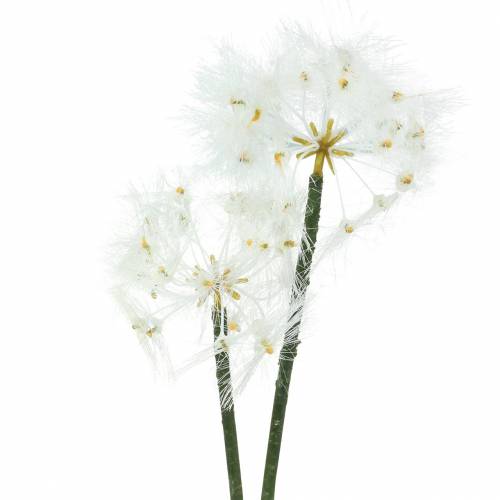 Floristik24 Artificial Meadow Flower Meadow Salsify White 57cm