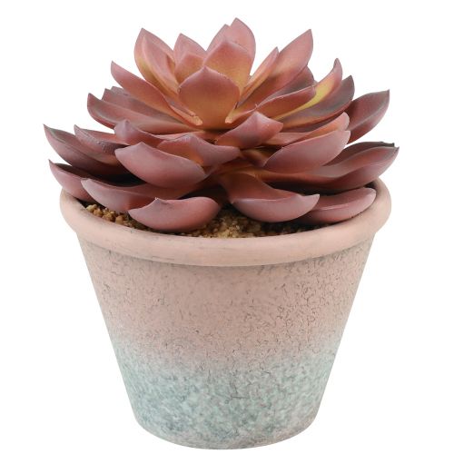 Product Succulent in pot Echeveria artificial red vintage Ø15cm H16cm