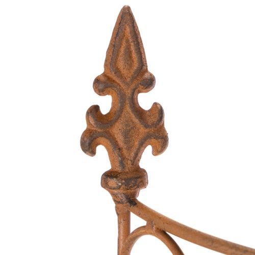 Product Garden stake, metal trellis for flower beds and versatile garden decoration, 60cm