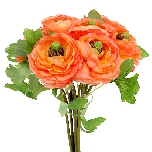 Floristik24 Ranunculus orange 27cm 8pcs