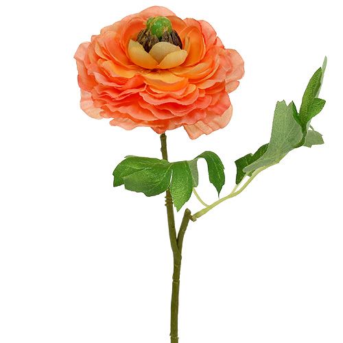 Floristik24 Ranunculus orange 27cm 8pcs