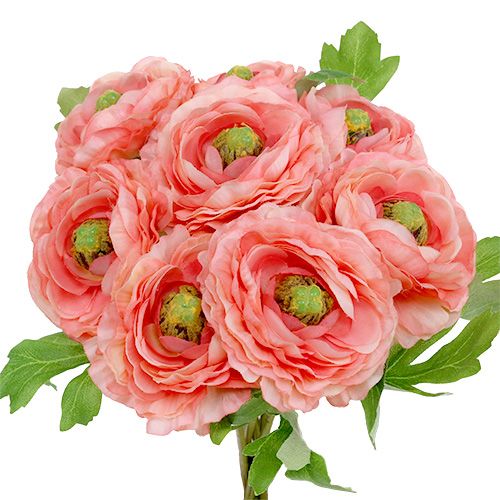 Floristik24 Ranunculus Pink-Pink 27cm 8pcs