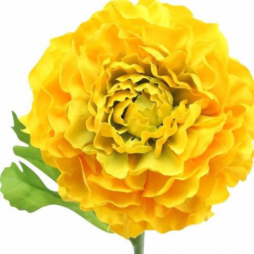 Product Ranunculus yellow H45cm