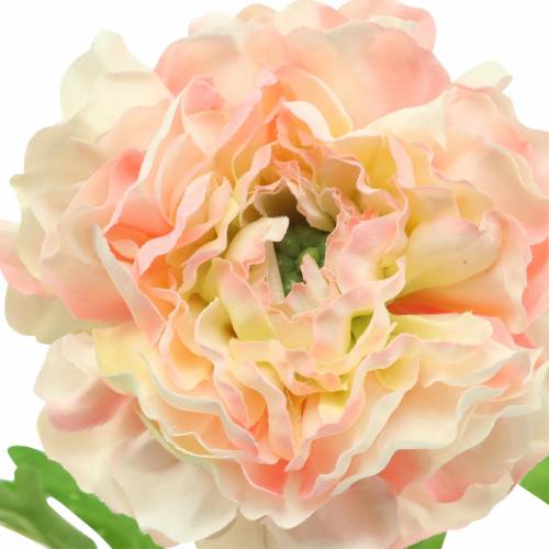 Product Ranunculus Peach H45cm