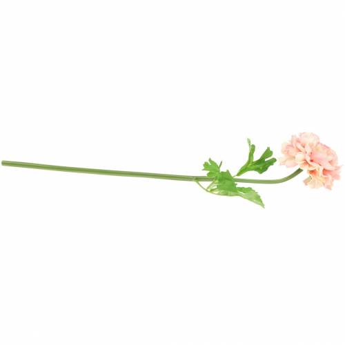 Product Ranunculus Peach H45cm