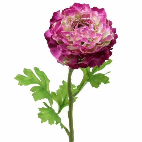 Floristik24 Ranunculus violet artificial 48cm
