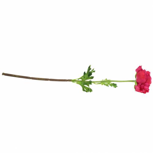 Floristik24 Ranunculus dark pink artificially 51cm