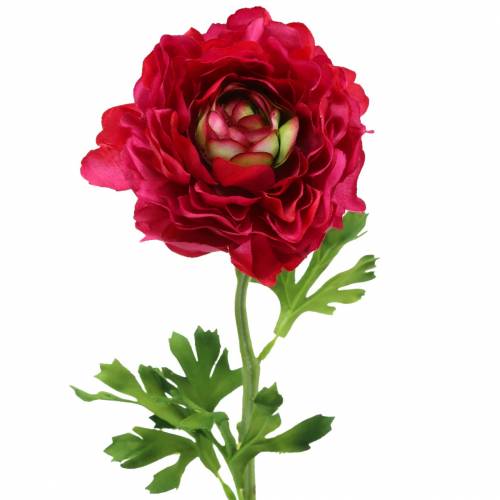 Floristik24 Ranunculus dark pink artificially 51cm