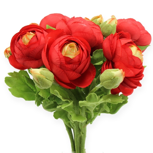 Floristik24 Ranunculus red 30cm