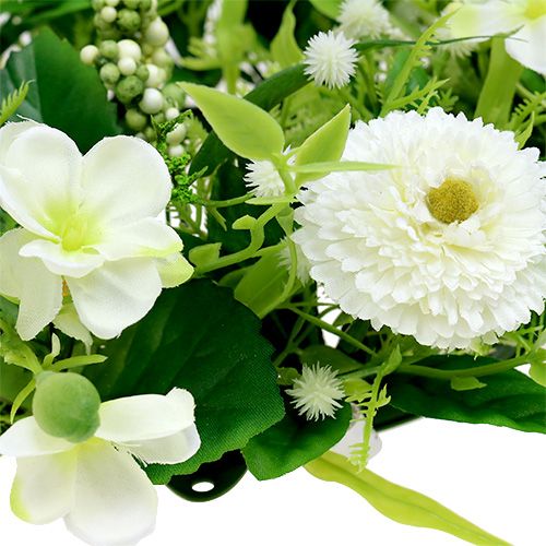 Floristik24 Ranunculus wreath with Bellis White Ø30cm