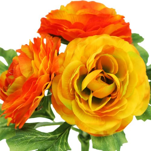 Product Ranunculus Orange L18cm