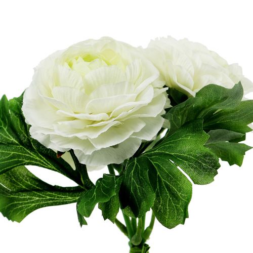 Product Ranunculus bouquet white L18cm