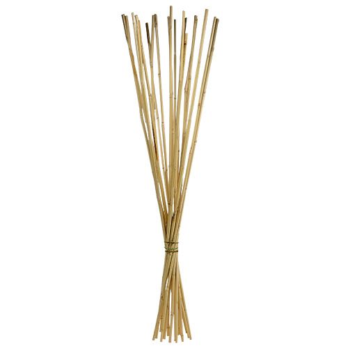 Floristik24 Rattan stems 100cm natural 20pcs