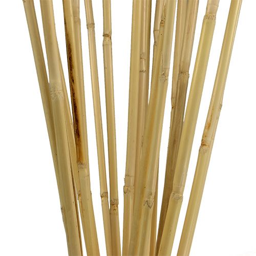 Floristik24 Rattan stems 100cm natural 20 pcs