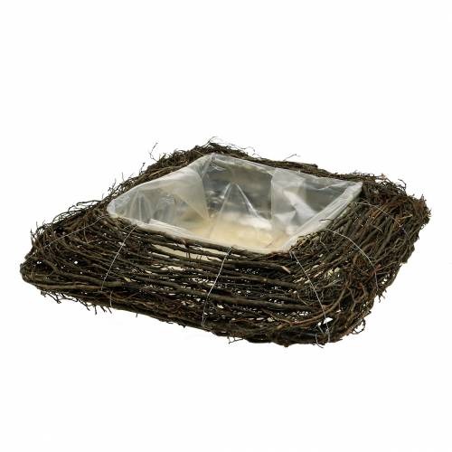 Product Plant cushion branches nature 40cm x 40cm H10cm