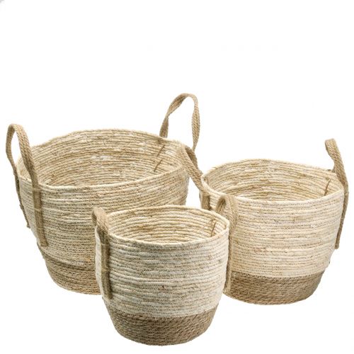 Floristik24 Rattan basket nature/brown Ø40/32/26cm 3pcs