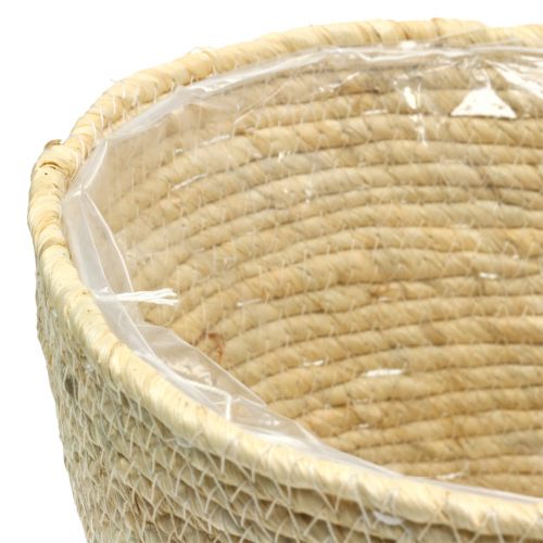 Floristik24 Plant basket rattan nature Ø26/22/16cm 3pcs