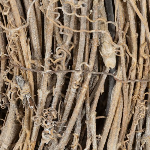 White-Washed Rattan Wreath